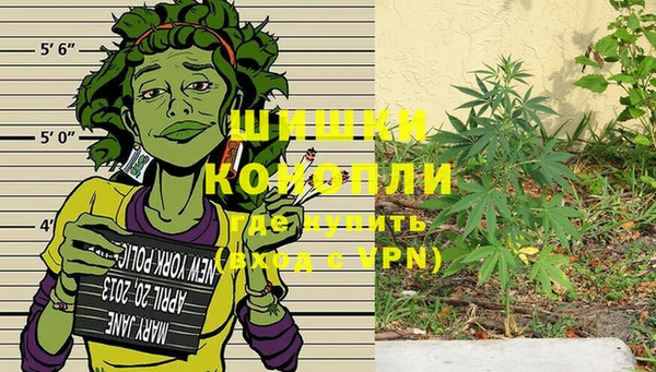 молекула духа Нягань