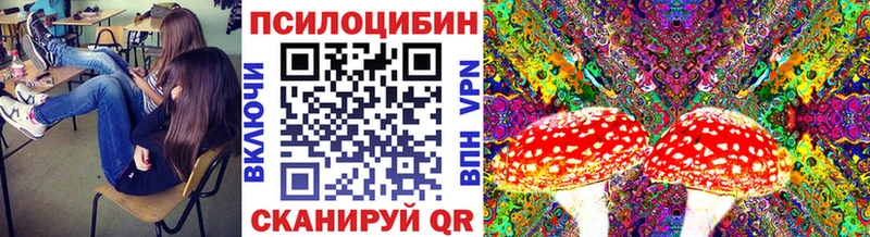 купить   Южноуральск  Псилоцибиновые грибы GOLDEN TEACHER 