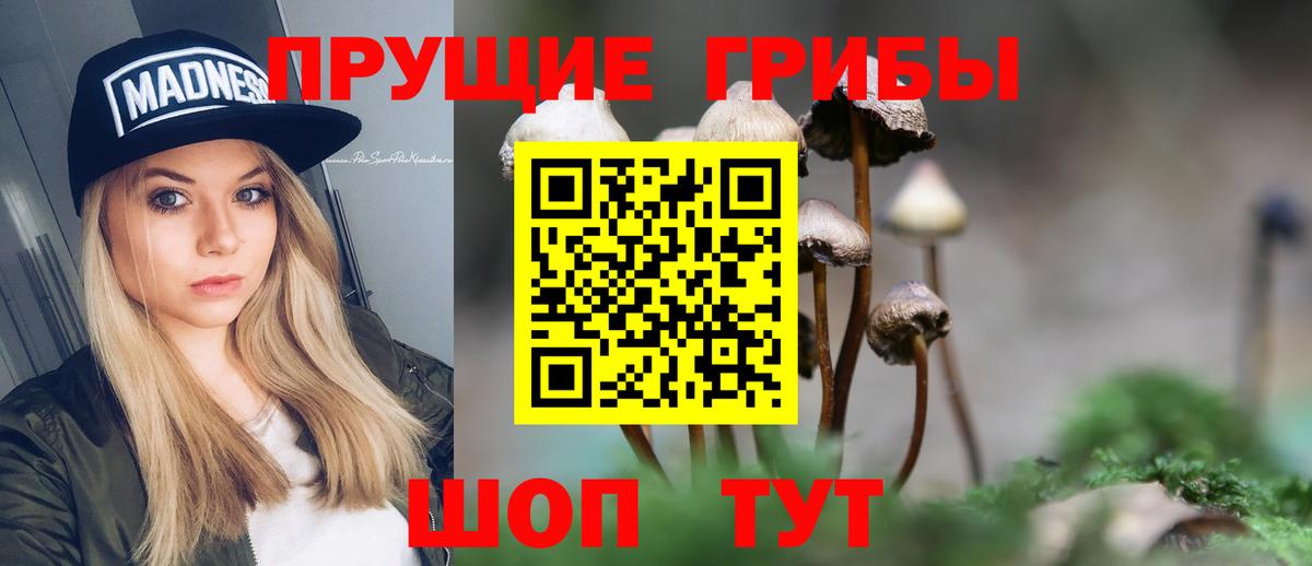 Галлюциногенные грибы GOLDEN TEACHER  Галлюциногенные грибы GOLDEN TEACHER  Южноуральск  Вход с VPN 